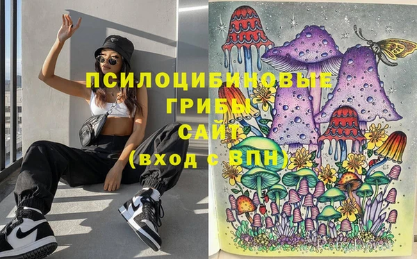 синтетический гашиш Алексин