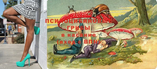 синтетический гашиш Алексин